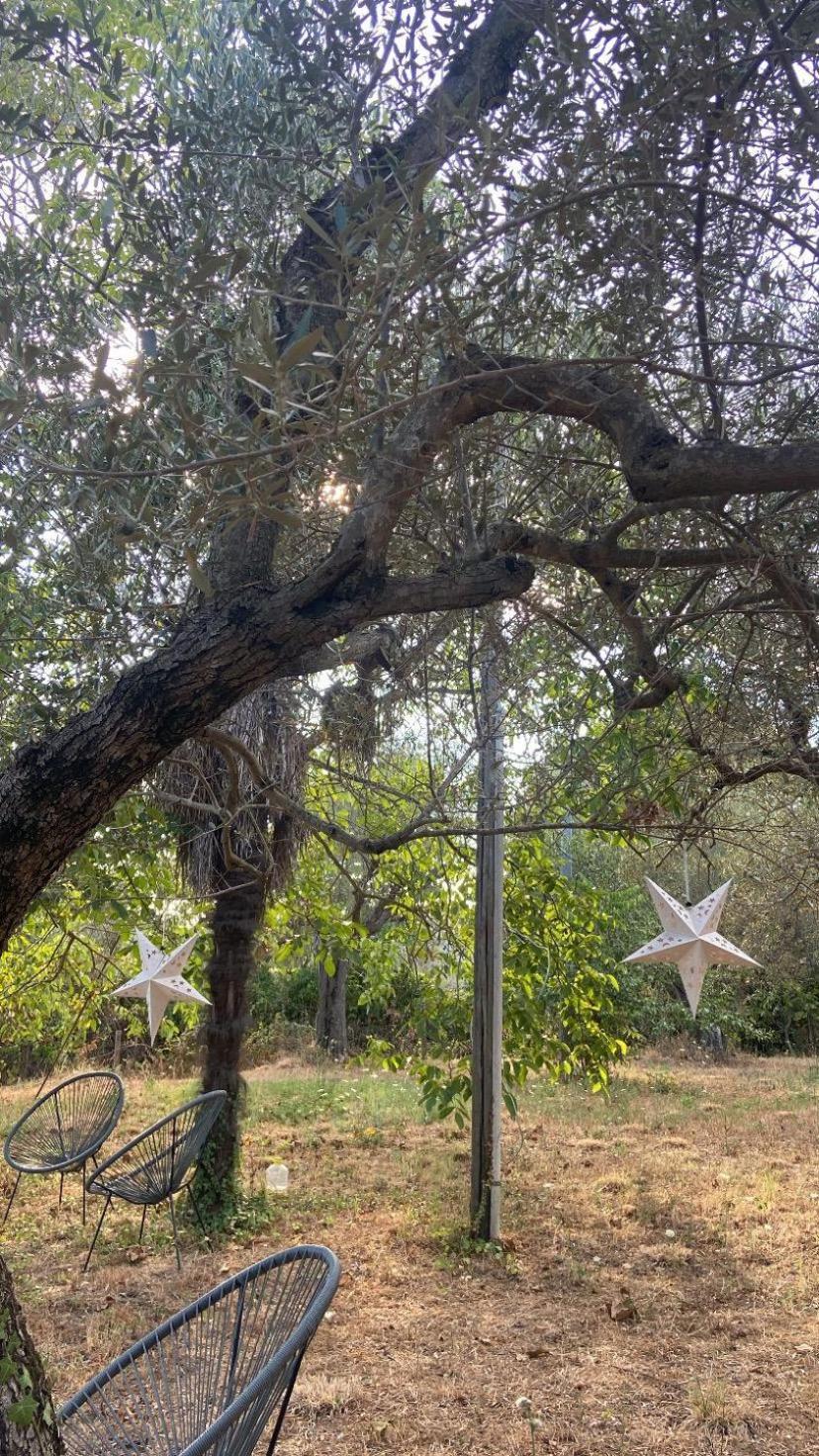Bolsena Cento20 - Rooms & Relax Zewnętrze zdjęcie
